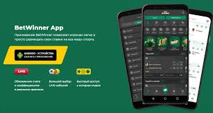 Discover the Thrills of BetWinner Online Casino -278782903