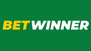 Exploring the Features of BetWinner Bookmaker